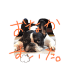 うめホールディングス（個別スタンプ：7）
