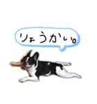 うめホールディングス（個別スタンプ：10）