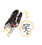 うめホールディングス（個別スタンプ：11）