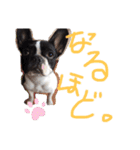 うめホールディングス（個別スタンプ：12）