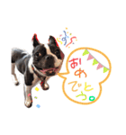 うめホールディングス（個別スタンプ：18）