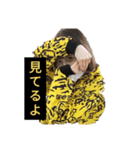 内藤加菜スタンプ2（個別スタンプ：2）