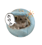ハムスターのうめずい（個別スタンプ：9）