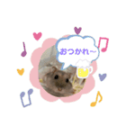 ハムスターのうめずい（個別スタンプ：15）