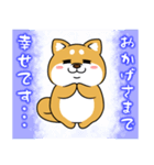 太っちょ犬【感謝編】（個別スタンプ：7）