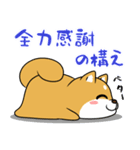 太っちょ犬【感謝編】（個別スタンプ：27）