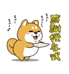 太っちょ犬【感謝編】（個別スタンプ：34）