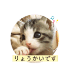 猫のぐりぐら 第二弾（個別スタンプ：2）