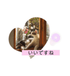 猫のぐりぐら 第二弾（個別スタンプ：4）