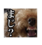 あやりな専用スタンプ（個別スタンプ：8）