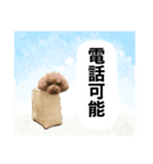あやりな専用スタンプ（個別スタンプ：22）