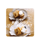 がんばるわたしとあなたに（個別スタンプ：5）