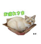 Maと愉快な仲間たち（個別スタンプ：4）