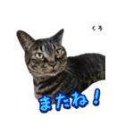 Maと愉快な仲間たち（個別スタンプ：6）