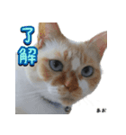 Maと愉快な仲間たち（個別スタンプ：15）
