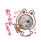 Mao inko（個別スタンプ：1）