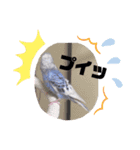 Mao inko（個別スタンプ：3）