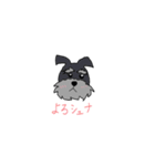 シュナです（個別スタンプ：1）