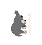 シュナです（個別スタンプ：3）