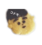 ゆめのなかのcookieいきもの（個別スタンプ：5）