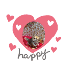ののあの（個別スタンプ：13）