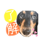6丁目フレンズ（個別スタンプ：5）