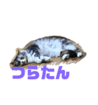ウルのギャル語スタンプ（個別スタンプ：3）