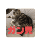 ウルのギャル語スタンプ（個別スタンプ：4）