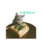 okinanee 01（個別スタンプ：1）