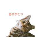 okinanee 01（個別スタンプ：5）