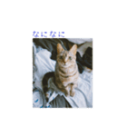 okinanee 01（個別スタンプ：9）