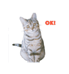 okinanee 01（個別スタンプ：10）