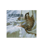 okinanee 01（個別スタンプ：17）