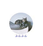 okinanee 01（個別スタンプ：27）