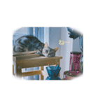 okinanee 01（個別スタンプ：32）