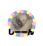 夏冬バージョン（個別スタンプ：2）