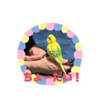 夏冬バージョン（個別スタンプ：7）