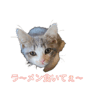 たっぴぃぃぃ（個別スタンプ：8）