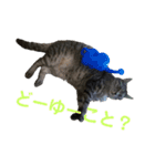 たっぴぃぃぃ（個別スタンプ：14）