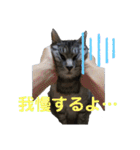 たっぴぃぃぃ（個別スタンプ：20）