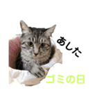 たっぴぃぃぃ（個別スタンプ：25）