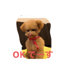 おさとGP（個別スタンプ：1）
