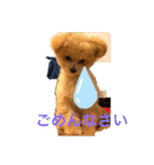 おさとGP（個別スタンプ：3）