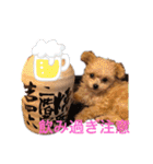 おさとGP（個別スタンプ：5）