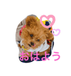 おさとGP（個別スタンプ：11）