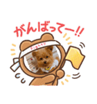 おさとGP（個別スタンプ：12）