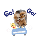 おさとGP（個別スタンプ：14）