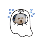 おさとGP（個別スタンプ：17）