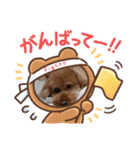 おさとGP（個別スタンプ：24）