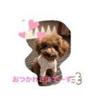 おさとGP（個別スタンプ：33）
